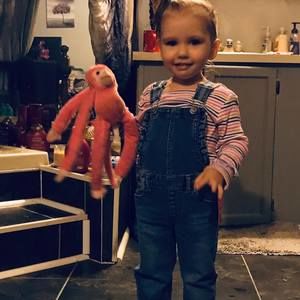 Meet your Posher, Misty